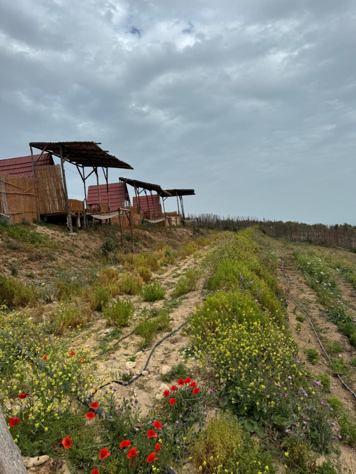 Ghar El Melh Outdoors Hotel Ra's al Jabal Exterior foto